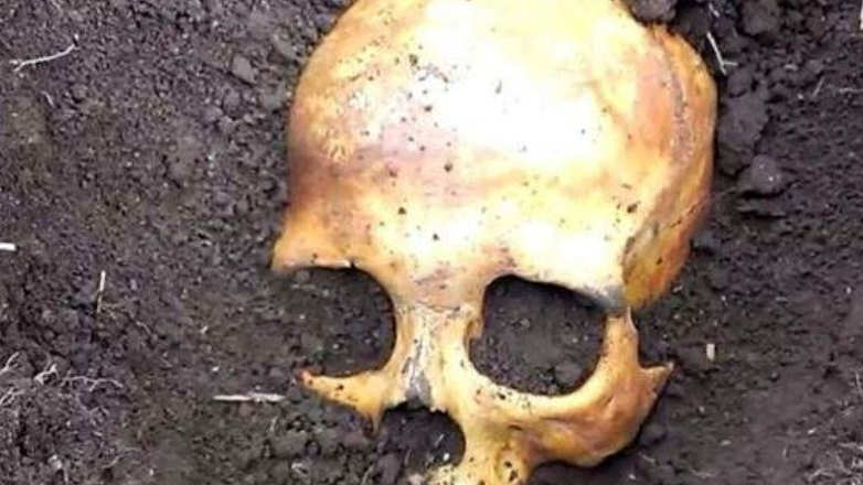 Ψυχικό: Βρήκε ανθρώπινο κρανίο και οστά