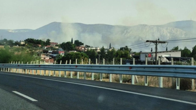 Πυρκαγιά στα Οινόφυτα