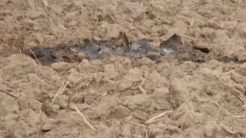 Τουσκ σε Τραμπ: Θα θέλαμε κι εμείς να ήταν λάθος η επίθεση στην Πολωνία