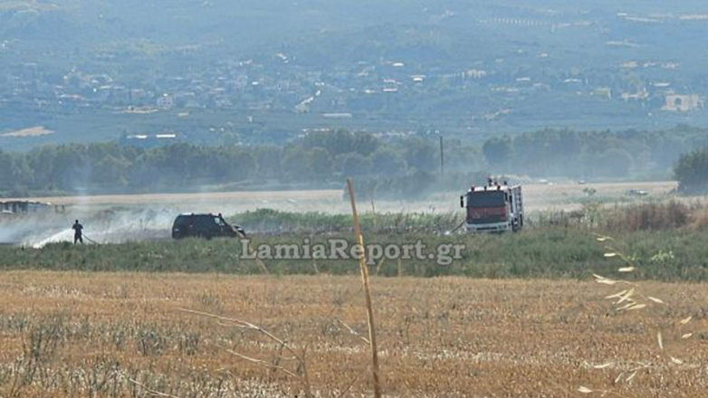 Λαμία: Πυρκαγιά στον κάμπο του Σπερχειού