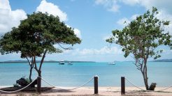 Αυστραλία: Έκθεση προειδοποιεί για τις «αλυσιδωτές» συνέπειες της κλιματικής αλλαγής