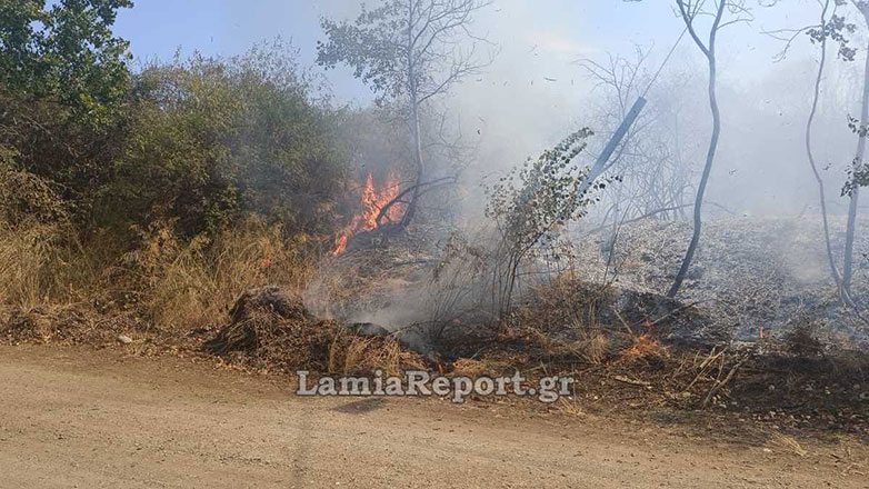 Καμένα Βούρλα: Πυρκαγιά στον Άγιο Σεραφείμ