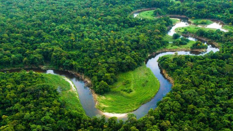 Αμαζόνιος: Απώλεια βλάστησης 25% μέσα σε 40 χρόνια