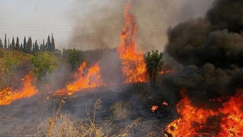 Πυρκαγιά σε χαμηλή βλάστηση στο Καματερό