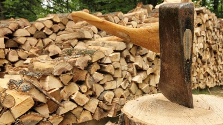 Θεσσαλονίκη: Σύλληψη άνδρα για παράνομη υλοτομία