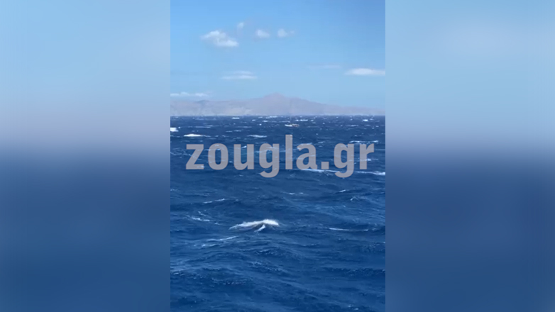 Το πλοίο «ΑΡΤΕΜΙΣ» σπεύδει για διάσωση ιστιοφόρου ανοικτά της Κύθνου –  Δείτε βίντεο