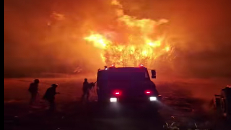 Φωτιά στα Λεχαινά Ηλείας