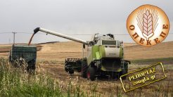 ΟΠΕΚΕΠΕ: «Παραπλανήσατε τις αρχές με ψεύτικες καλλιέργειες»