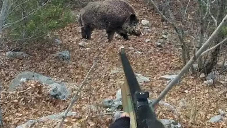 Αρκαδία: Τραγωδία σε κυνήγι αγριόχοιρου
