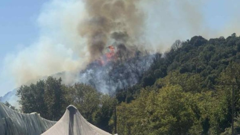Υπό έλεγχο η φωτιά στο Μυρτόφυτο του Δήμου Παγγαίου Καβάλας
