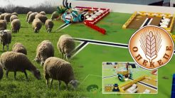 Μαθητές ομάδας ρομποτικής «ξεσκέπασαν» το σκάνδαλο ΟΠΕΚΕΠΕ μέσα σε δύο λεπτά