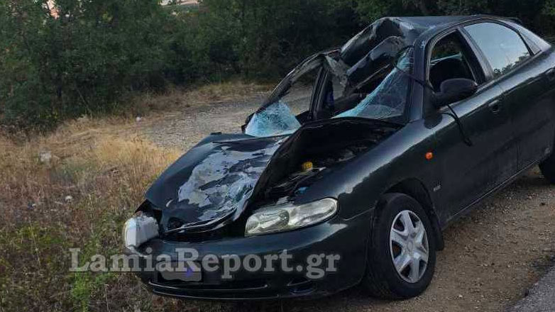 Τροχαίο με αγελάδα στη Φθιώτιδα – Τραυματίστηκε σοβαρά μια γυναίκα