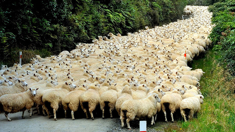 ΟΠΕΚΕΠΕ: Δεσμεύτηκαν δεκάδες λογαριασμοί Ηρακλειωτών για παράνομες επιδοτήσεις