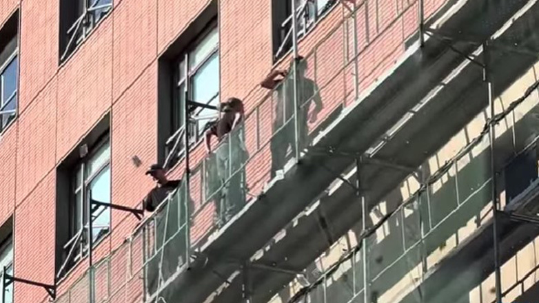 Προσαγωγές για  τα μέλη του Ρουβίκωνα, που σκαρφάλωσαν στο Προξενείο των ΗΠΑ