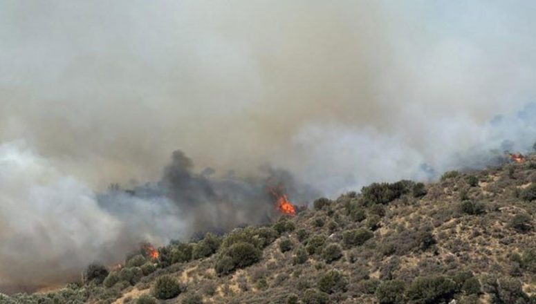 Ρέθυμνο: Πυρκαγιά εκδηλώθηκε μετά τα μεσάνυχτα κοντά στα Ανώγεια