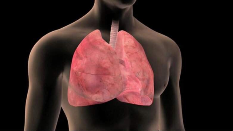 Μεσοθηλίωμα: Η αποφυγή της έκθεσης στον αμίαντο αποτελεί το σημαντικότερο μέτρο προστασίας Μεσοθηλίωμα: Η αποφυγή της έκθεσης στον αμίαντο αποτελεί το σημαντικότερο μέτρο προστασίας