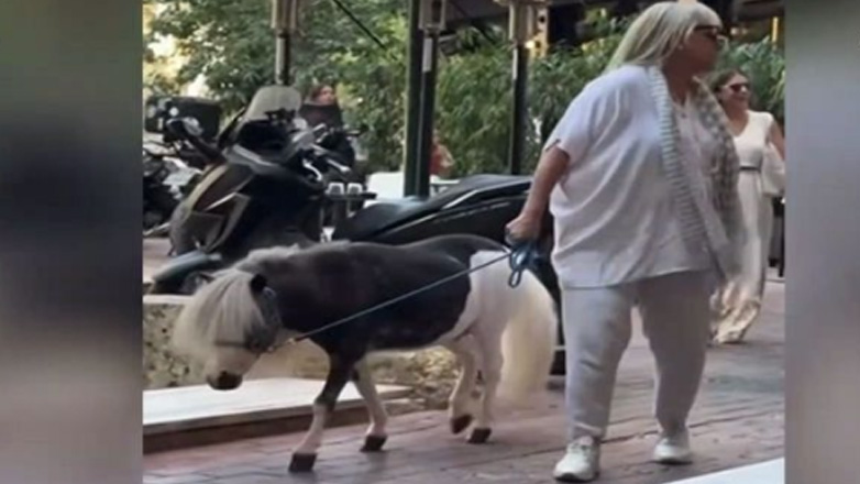 Γυναίκα βγήκε βόλτα στο κέντρο της Αθήνας με το… πόνυ της