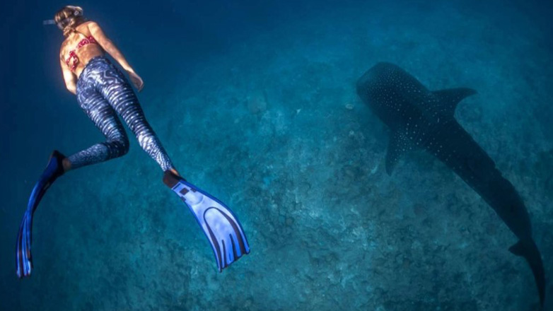 Αυστραλοί επιστήμονες ανέπτυξαν στολές που αντέχουν σε δαγκώματα καρχαριών