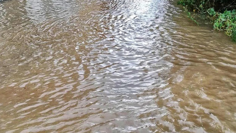 Άργος: Σε ποτάμια μετατράπηκαν οι δρόμοι από την έντονη βροχόπτωση