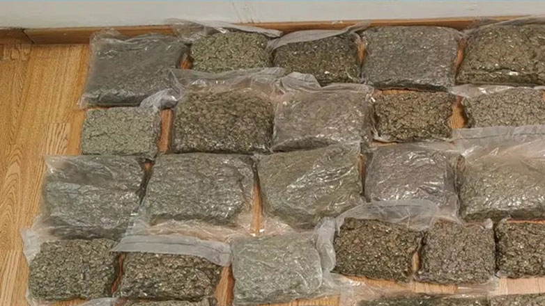 Μαρκόπουλο: 22 κιλά κάνναβης εντοπίστηκαν σε αποθήκη