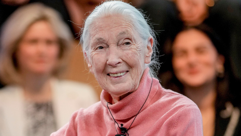 ΗΠΑ: Πέθανε σε ηλικία 91 ετών η πρωτευοντολόγος και ακτιβίστρια Τζέιν Γκούντολ