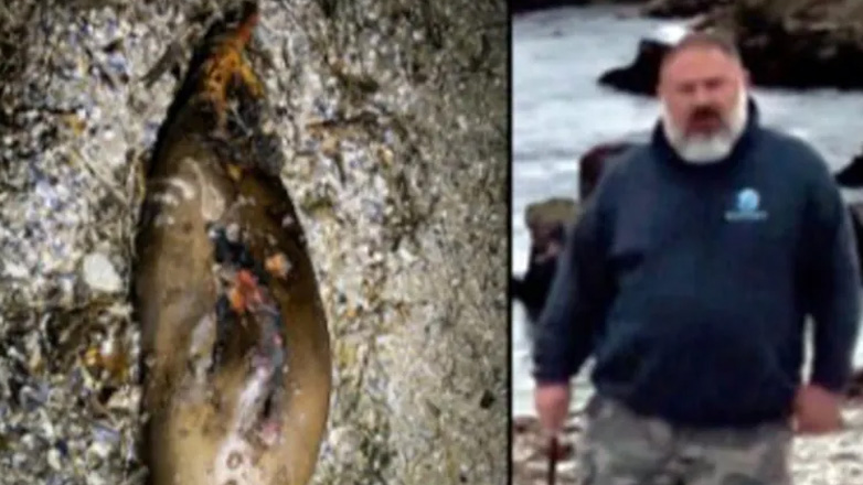 Καλιφόρνια: Καταζητείται άνδρας που αποκεφάλισε θαλάσσιο λιοντάρι