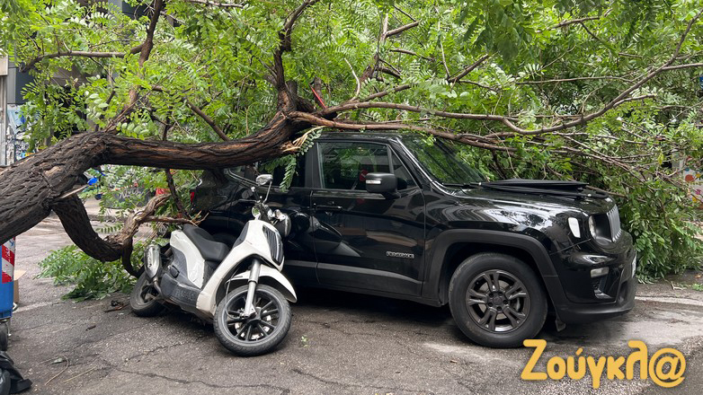 Εμμ. Μπενάκη: Δέντρο έπεσε πάνω σε διερχόμενο αναβάτη μηχανής και σε αυτοκίνητο