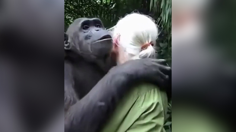 Το μεγαλύτερο «ευχαριστώ» στη Δρ. Jane Goodall