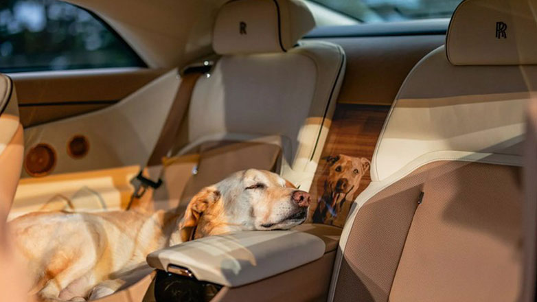 Η Rolls-Royce κατασκεύασε μία Spectre, με πατούσες και χειροποίητο ξύλινο πορτρέτο του σκύλου της οικογένειας 