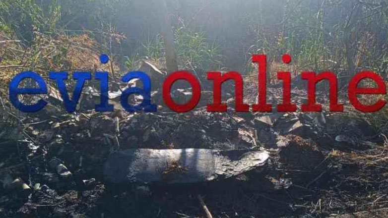 Εύβοια: Προσαγωγή ανηλίκων και των γονιών τους για υποθέσεις εμπρησμών