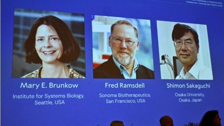 Νόμπελ Ιατρικής 2025: Σε τρεις επιστήμονες για την περιφερική ανοσολογική ανοχή