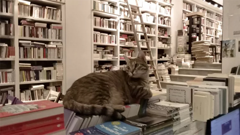 Έκλεισε το βιβλιοπωλείο Επί Λέξει στην Ακαδημίας – Το αποχαιρετιστήριο μήνυμα των ιδιοκτητών Έκλεισε το βιβλιοπωλείο Επί Λέξει στην Ακαδημίας – Το αποχαιρετιστήριο μήνυμα των ιδιοκτητών