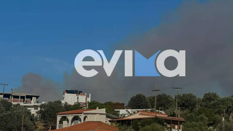 Βίντεο από την φωτιά στην Εύβοια, που πλησιάζει σπίτια