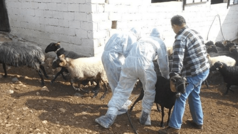 Οι κτηνοτρόφοι της Θεσσαλίας συνεδρίασαν στον Τύρναβο για την ευλογιά