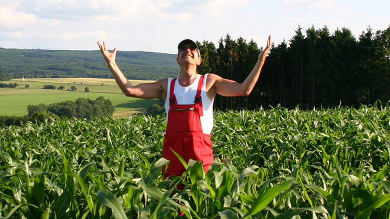 Δεν πληρώνουν επιδοτήσεις και τώρα τους φταίει η … OLAF