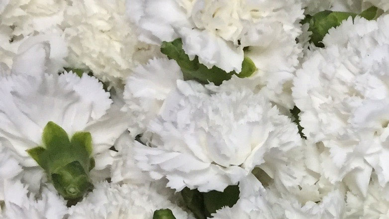 Βαρύ πένθος στην Λαμία: Έφυγε ξαφνικά από τη ζωή 60χρονη Εκπαιδευτικός