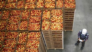 Έκρηξη εισαγωγών φρούτων και λαχανικών