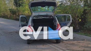 Τροχαίο στην Εύβοια: Αυτοκίνητο καρφώθηκε σε πλάτανο