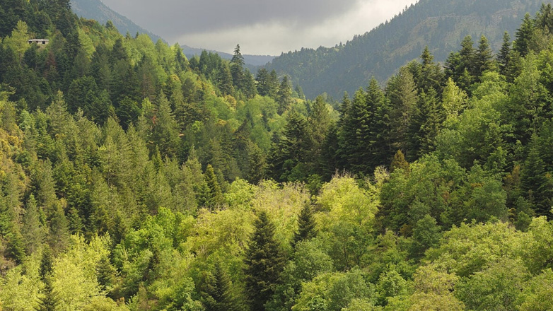 Ο Πάρνωνας και το Μαλέας εντάχθηκαν στο δίκτυο Αποθεμάτων Βιόσφαιρας της UNESCO