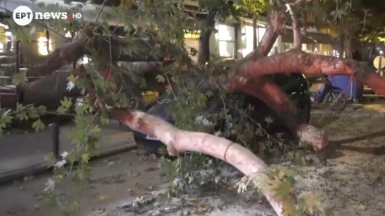 Δέντρο καταπλάκωσε Ι.Χ. στην Θεσσαλονίκη