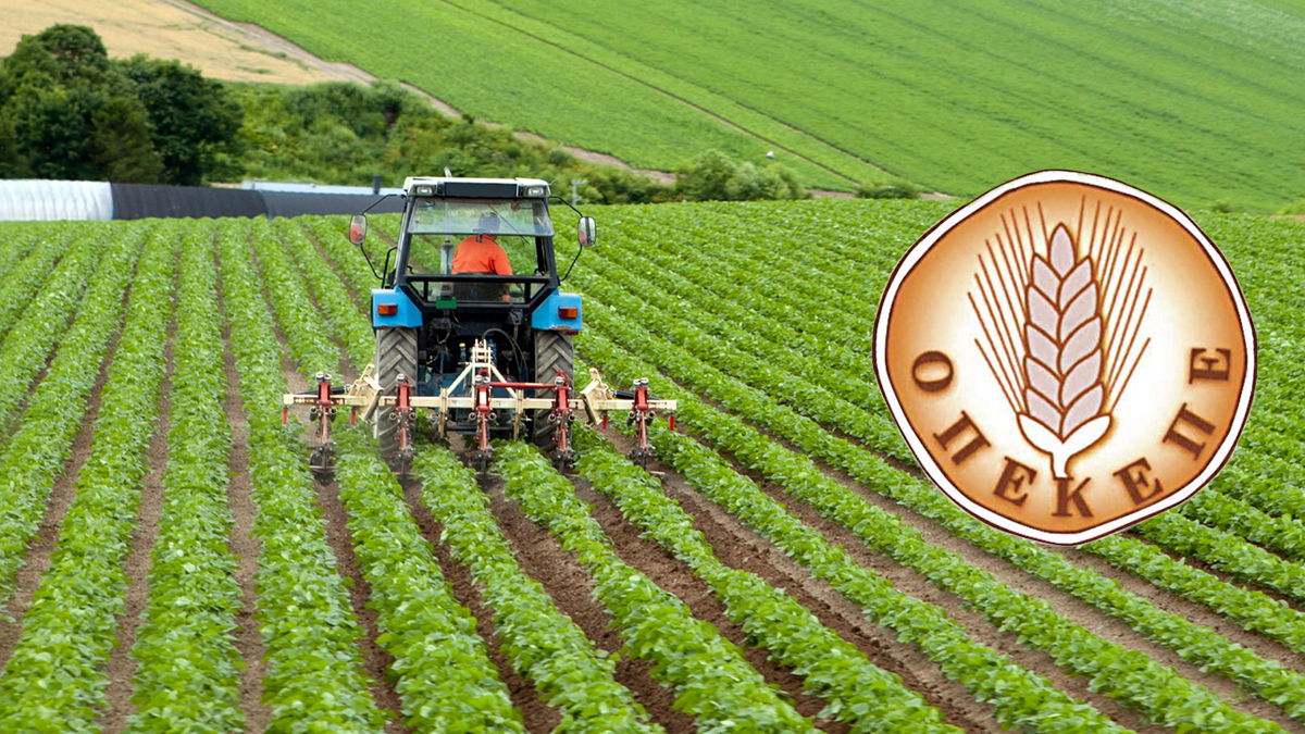 ΟΠΕΚΕΠΕ: Ένας dj, ένας σερβιτόρος και ένας οικοδόμος έπαιρναν παράνομες επιδοτήσεις