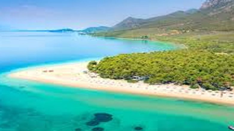 Από σήμερα ανοιχτή η πλατφόρμα του «North Evia Pass 2025» με το επίδομα των 150 ευρώ Από σήμερα ανοιχτή η πλατφόρμα του «North Evia Pass 2025» με το επίδομα των 150 ευρώ