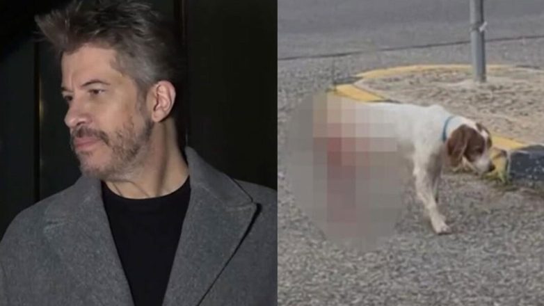 Χάρης Βαρθακούρης: «Θα σκότωνα εύκολα τον δράστη» — H οργή του για τον βασανισμό και τη σεξουαλική κακοποίηση του σκύλου στην Ηλεία Χάρης Βαρθακούρης: «Θα σκότωνα εύκολα τον δράστη» — H οργή του για τον βασανισμό και τη σεξουαλική κακοποίηση του σκύλου στην Ηλεία