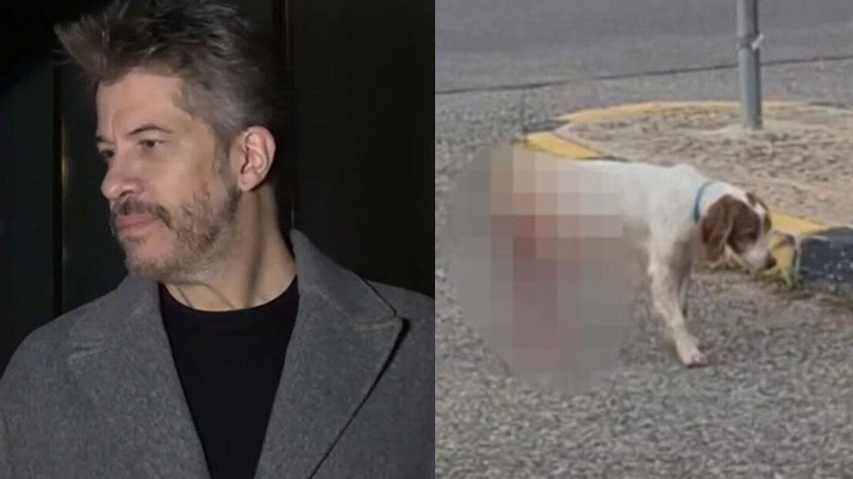 Χάρης Βαρθακούρης: «Θα σκότωνα εύκολα τον δράστη» — H οργή του για τον βασανισμό και τη σεξουαλική κακοποίηση του σκύλου στην Ηλεία