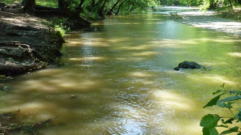 North Evia Pass 2025: Λήγει σήμερα η προθεσμία των αιτήσεων για την κάρτα των 150 ευρώ North Evia Pass 2025: Λήγει σήμερα η προθεσμία των αιτήσεων για την κάρτα των 150 ευρώ