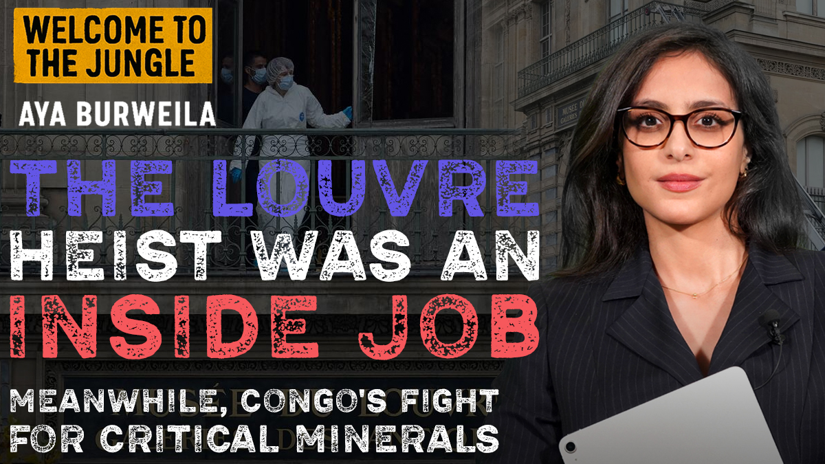 Δείτε το 15ο επεισόδιο της τηλεοπτικής παραγωγής της Ζούγκλας «Welcome to the Jungle»