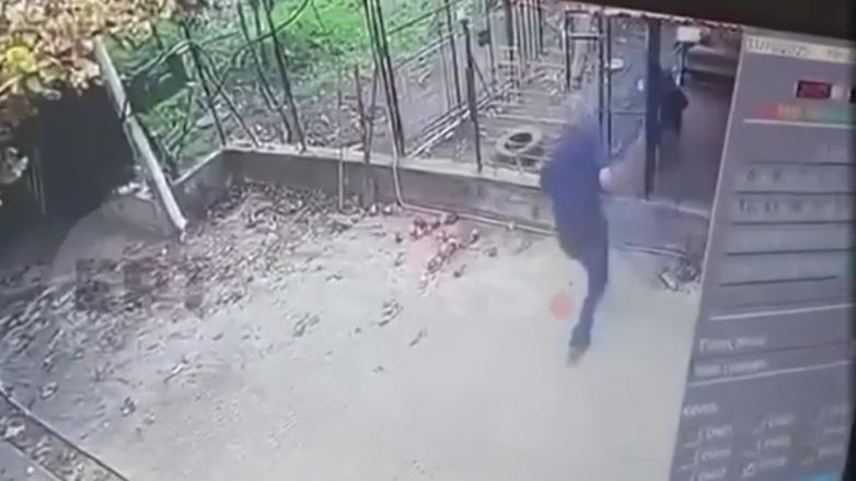 «Το ροτβάιλερ ήταν σαν μέλος της οικογένειάς μας»