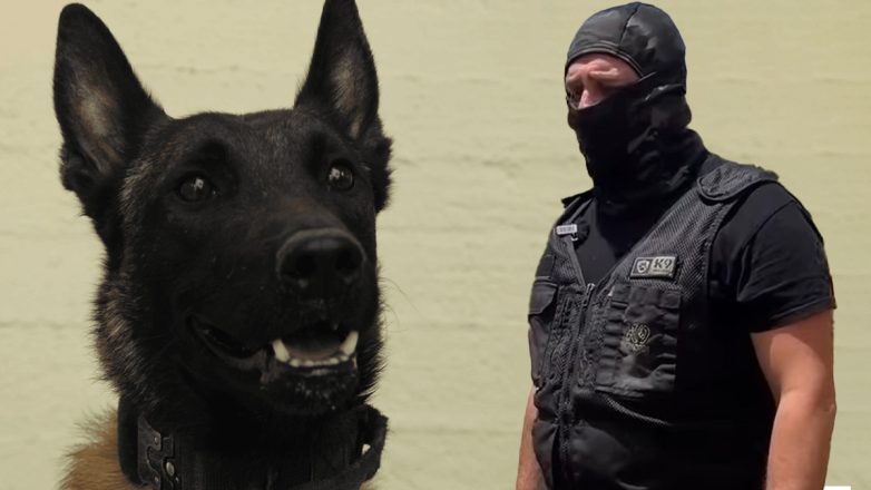 Ανάρτηση σοκ του εκπαιδευτή του νεκρού «Εcho»: Ποιος θα είναι ο επόμενος ;