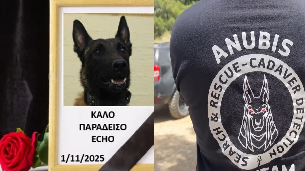 Nεκρός ξαφνικά ο «Echo», το σκυλί ντετέκτιβ της «Anubis»