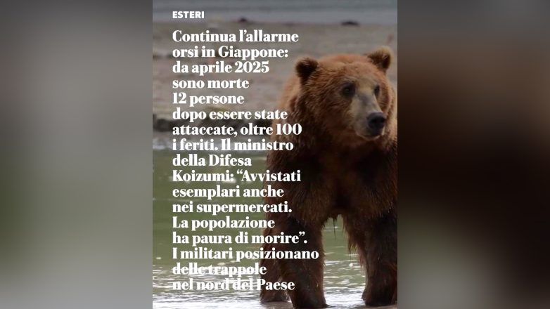 Στην Ιαπωνία ο στρατός κυνηγάει αρκούδες